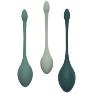 Amaysin Tulip Set Kegel