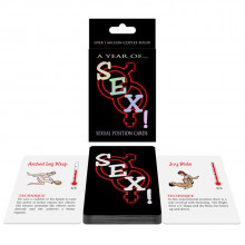 A Year of SEX Jeux de Cartes  1