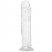 Willie City Gode Réaliste avec Ventouse Transparent 22 cm  1