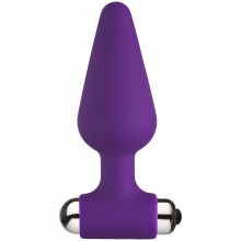 Baseks Plug Anal Vibrant Large Image du produit 1