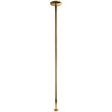 X-POLE Xpert Titanium Gold Pole 4,5 cm  1