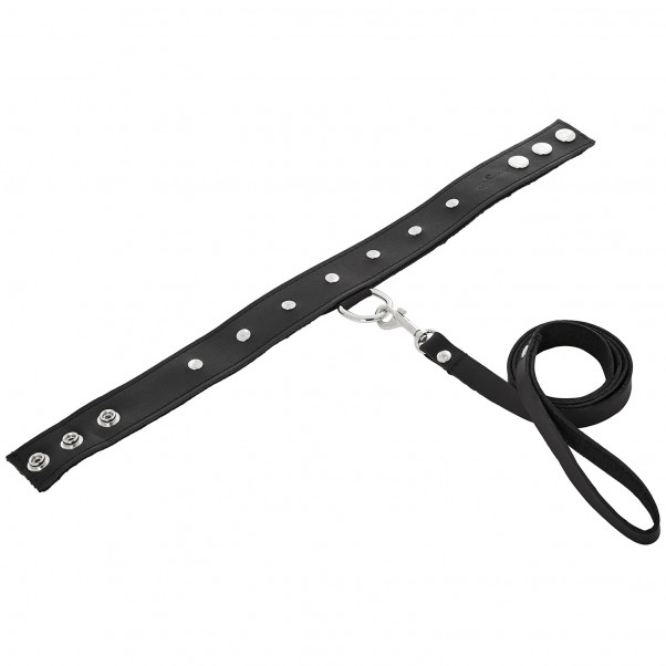 Sportsheets Collier en Cuir avec Laisse  2
