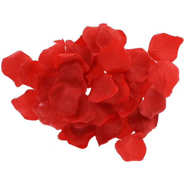 Lovetoy Kit pour Couples  6