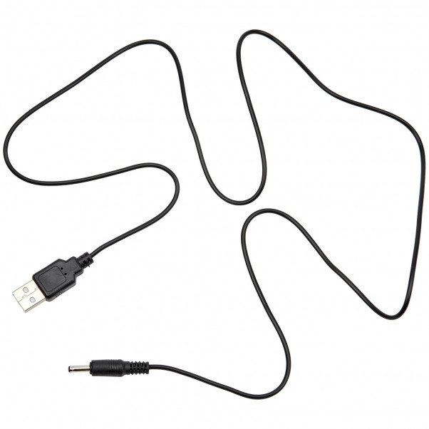 Sinful Chargeur USB H2  2