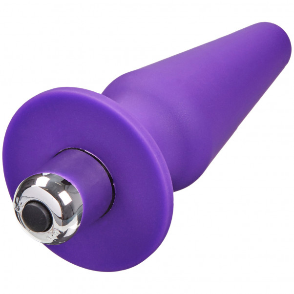 Baseks Plug Anal Vibrant Medium  2