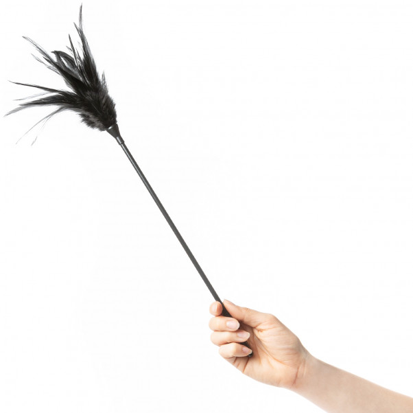 obaie Plumeau Coquin  5