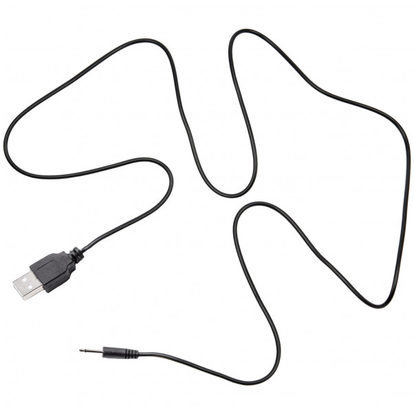 Sinful Chargeur USB P1  2