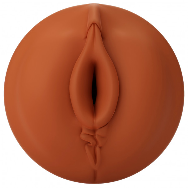 Autoblow A.I. Sleeve Vagina  2