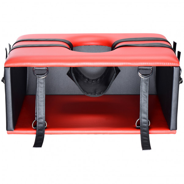 Master Series Queening Chaise Sexuelle  4