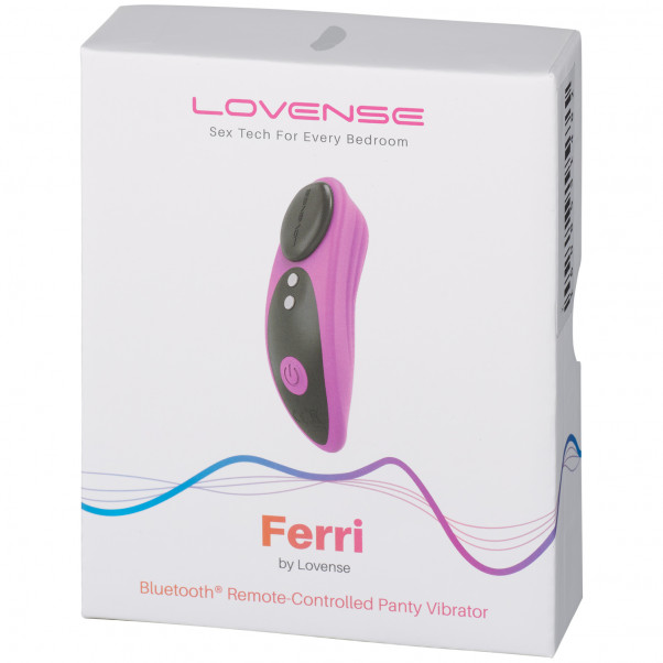 Lovense Ferri Remote Controlled Panty Vibrator  90
