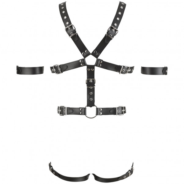 Zado Harness with Triple Cock Ring 4