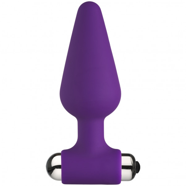Baseks Plug Anal Vibrant Large Image du produit 1