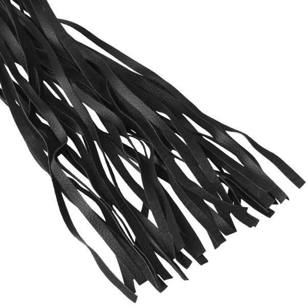 Tracy's Dog Disciplining Fouet Vibrant Image du produit 3