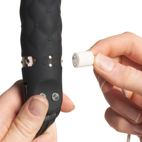 Tracy's Dog Disciplining Fouet Vibrant Image du produit avec des mains 51