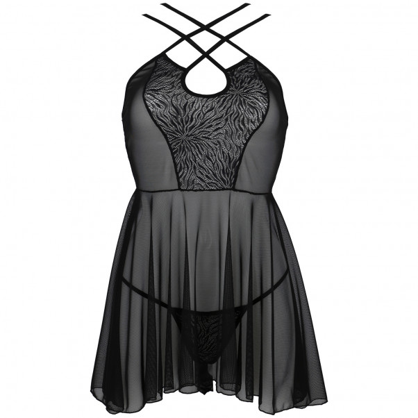 Passion ECO Selaginella Ensemble Nuisette Image du produit 3