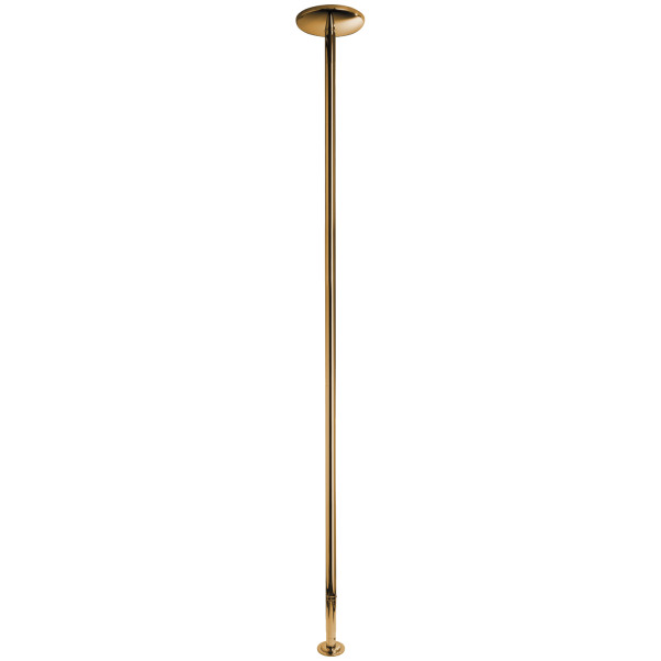 X-POLE Xpert Titanium Gold Pole 4,5 cm  1