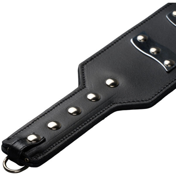 ElectraStim Electrapaddle Image du produit 7