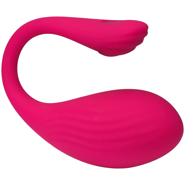 Tracy's Dog Œuf Vibrant Télécommandé Image du produit 2