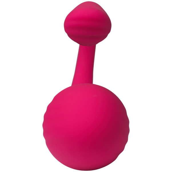 Tracy's Dog Œuf Vibrant Télécommandé Image du produit 3