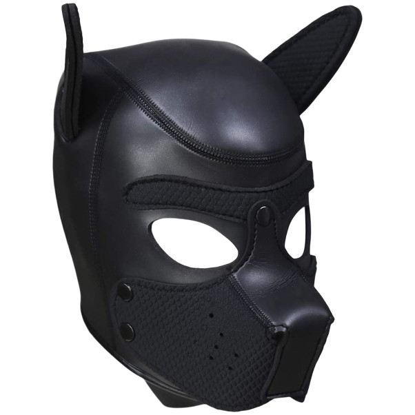 Ouch! Puppy Play Set en Néoprène Image du produit 2