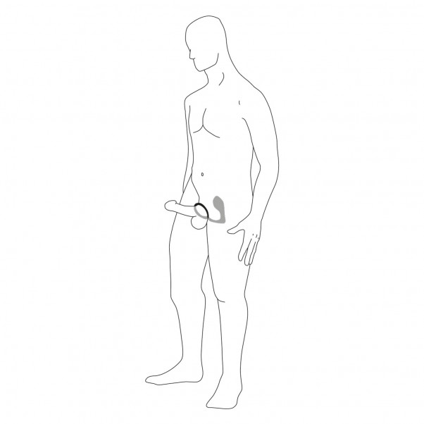 Anal Fantasy Elite Ass-Gasm Pro Rechargeable Illustration 10