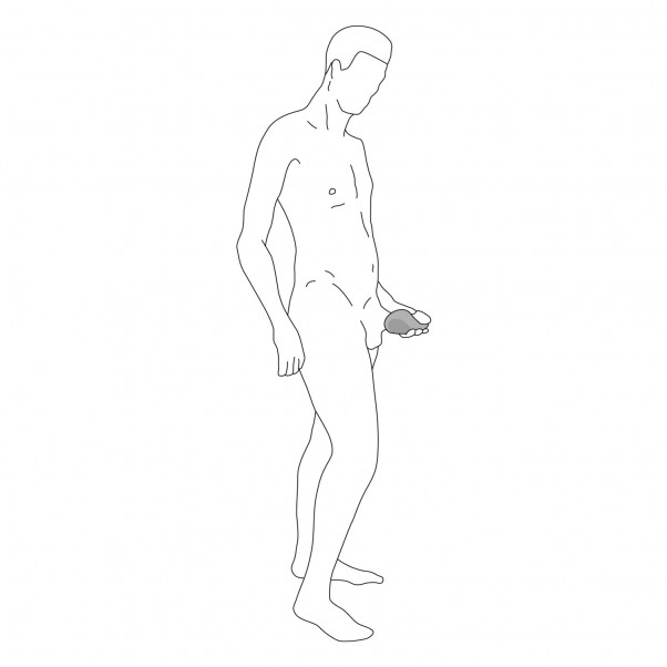 Hot Octopuss Pulse Duo Lux Penis Vibrator Illustration 10