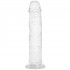 Willie City Gode Ventouse Réaliste Transparent 18 cm  2