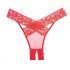 Allure Desire Culotte Rouge Image du produit 2