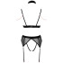 Abierta Fina Mesh Peekaboo Ensemble de Lingerie Image du produit 4