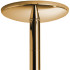 X-POLE Xpert Titanium Gold Pole 4,5 cm  2