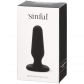 Sinful Plug Anal pour Débutant·e·s  90