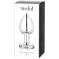 Sinful Jewel Petit Plug Anal en Acier  100