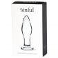Sinful BumBum Plug Anal en Verre Petit  4