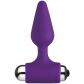 Baseks Plug Anal Vibrant Petit Image du produit 1