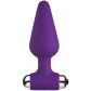 Baseks Plug Anal Vibrant Large Image du produit 1
