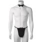 Sinful Chippendales Costume pour Lui Image du produit 1