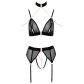 Abierta Fina Mesh Peekaboo Ensemble de Lingerie Image du produit 3