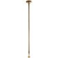 X-POLE Xpert Titanium Gold Pole 4,5 cm  1